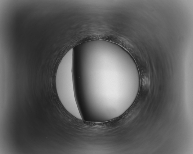 X0000089431204200706151015