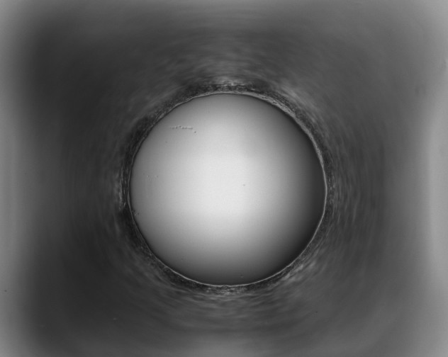 X0000089431205200706151015