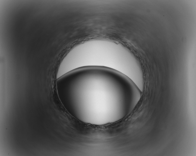 X0000089431206200706151015