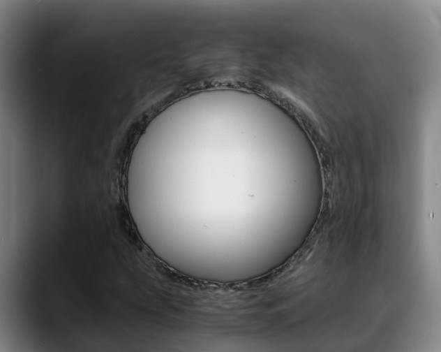 X0000089431207200706151015