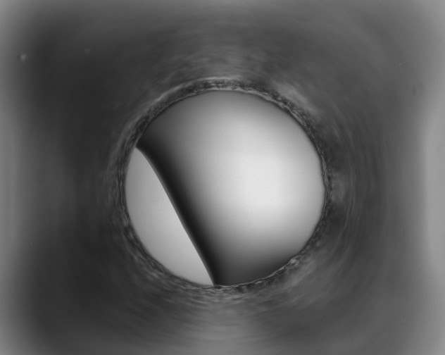 X0000089431208200706151015