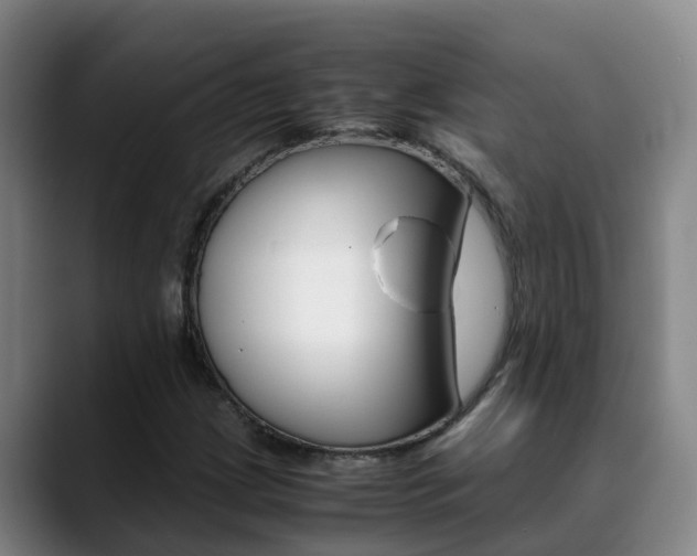 X0000089431209200706151015