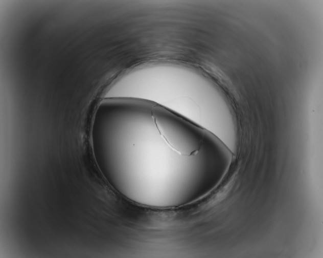 X0000089431210200706151015