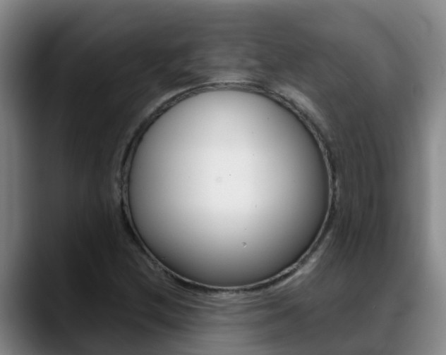 X0000089431212200706151015