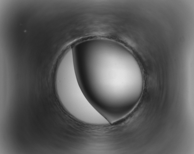 X0000089431214200706151015