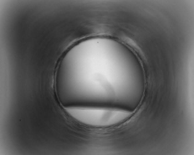 X0000089431220200706151016