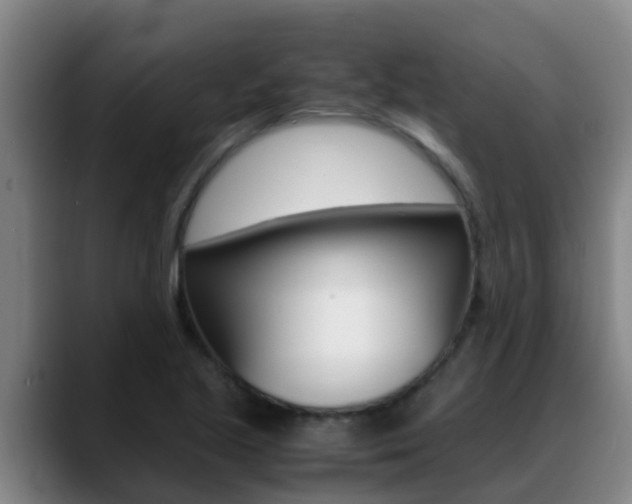 X0000089431221200706151016