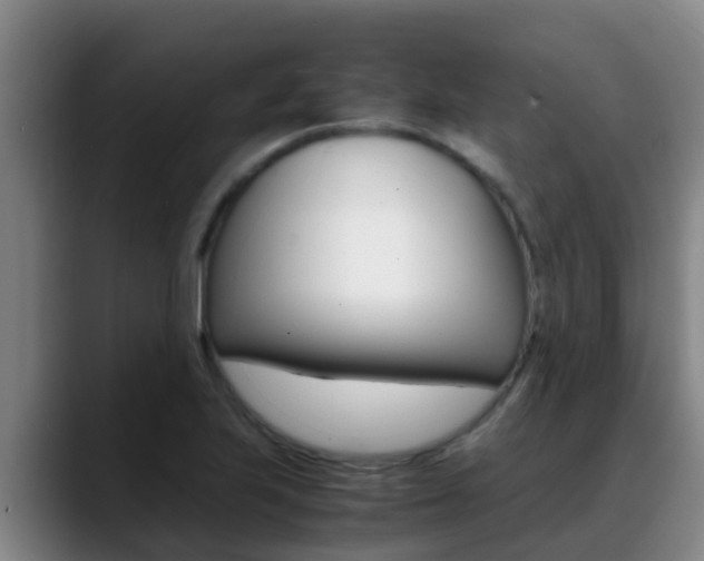 X0000089431223200706151016