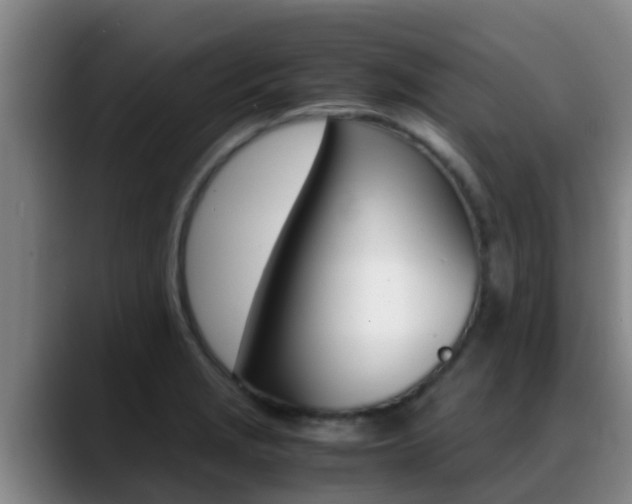 X0000089431229200706151016