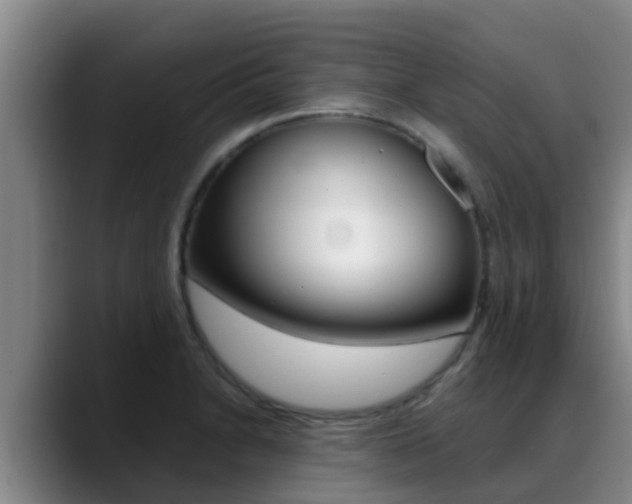 X0000089431230200706151016