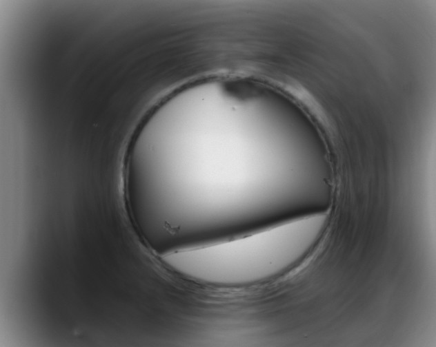 X0000089431232200706151016