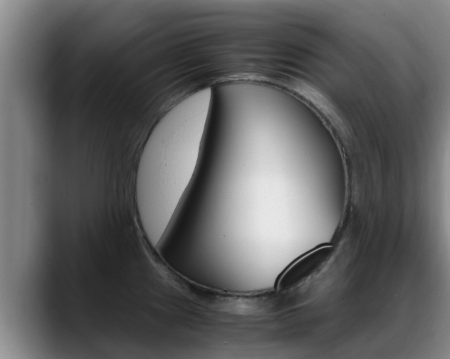 X0000089431241200706151016