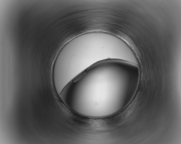 X0000089431242200706151016