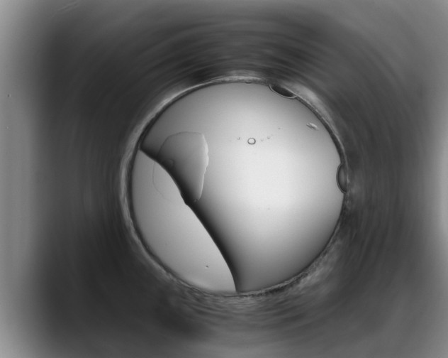 X0000089431243200706151016