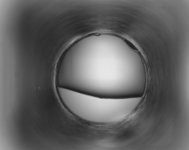 X0000089431245200706151016