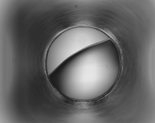 X0000089431248200706151016