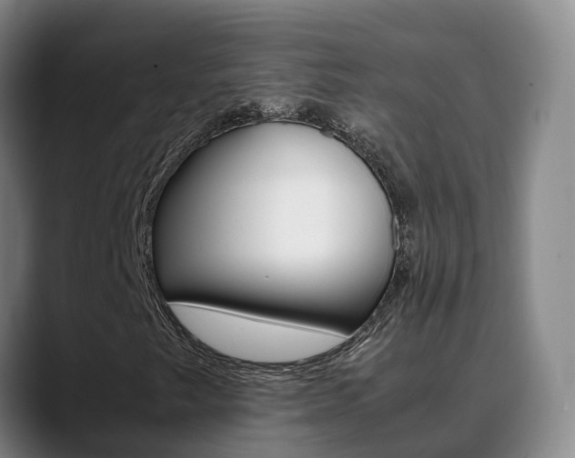 X0000089431249200706151015