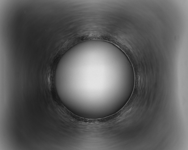 X0000089431250200706151015