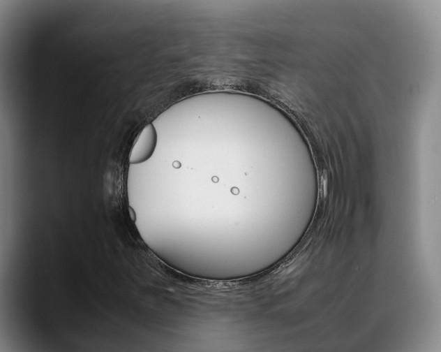 X0000089431251200706151015
