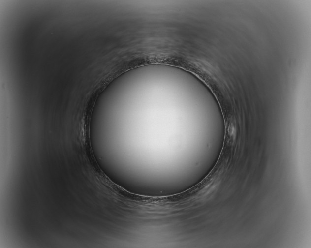 X0000089431252200706151015