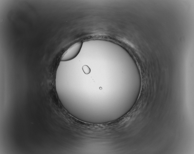X0000089431255200706151015