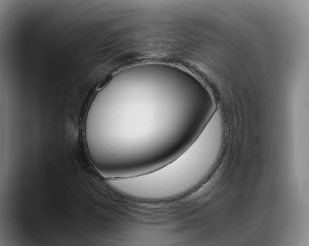 X0000089431257200706151015