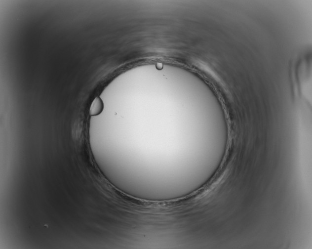 X0000089431259200706151015