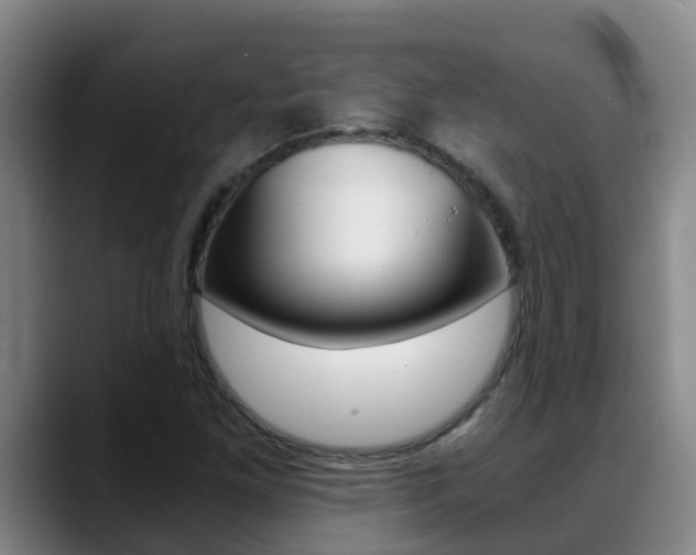 X0000089431261200706151015