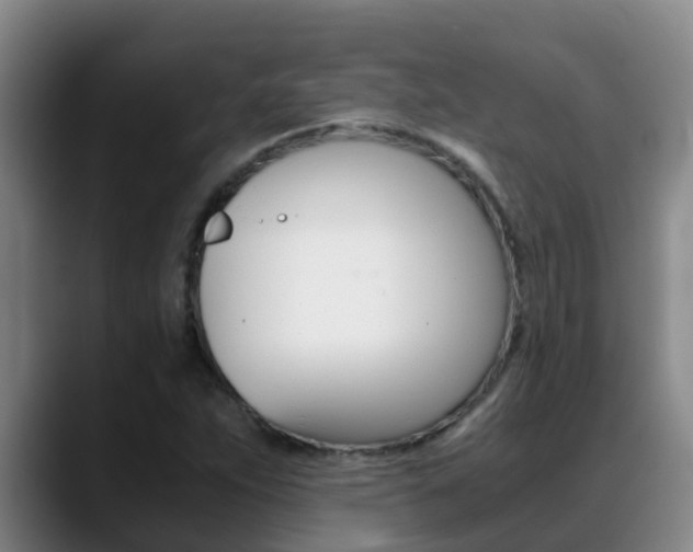 X0000089431263200706151015
