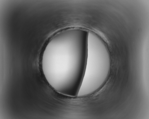 X0000089431264200706151015