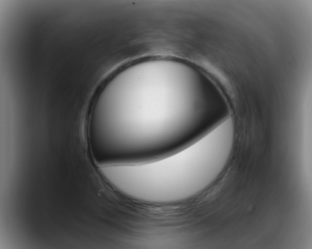 X0000089431272200706151015