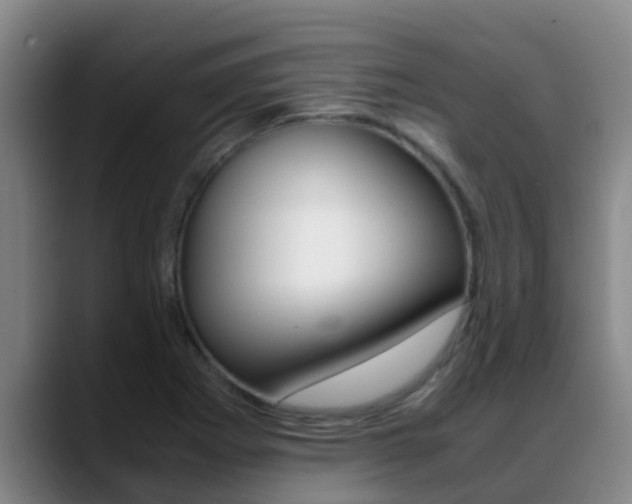 X0000089431273200706151015
