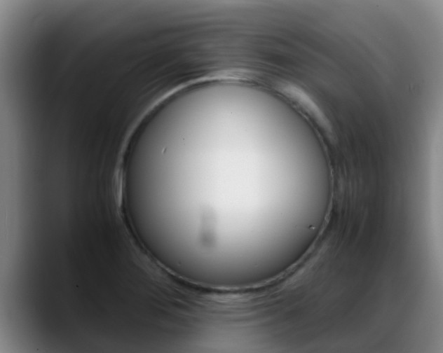 X0000089431276200706151015