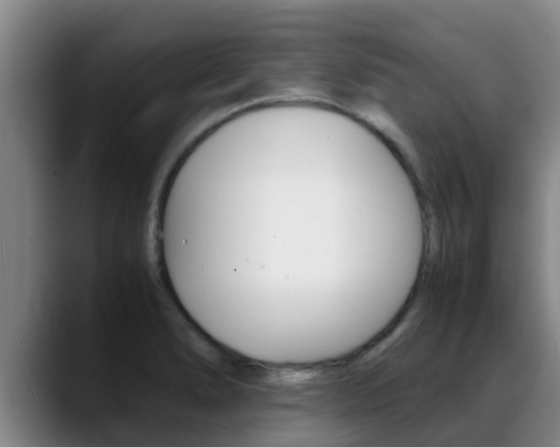 X0000089431278200706151015