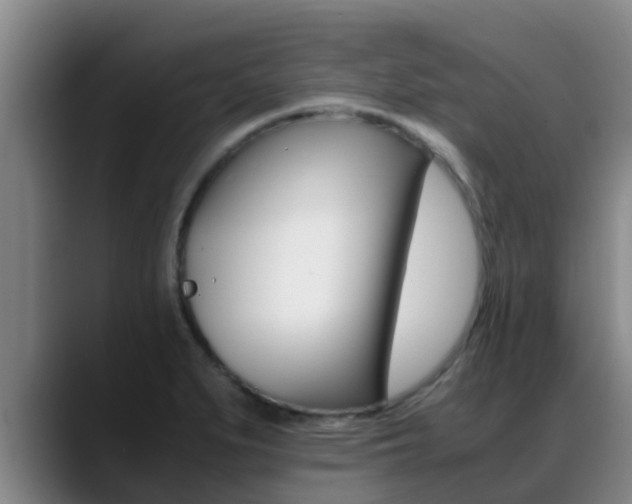 X0000089431279200706151015