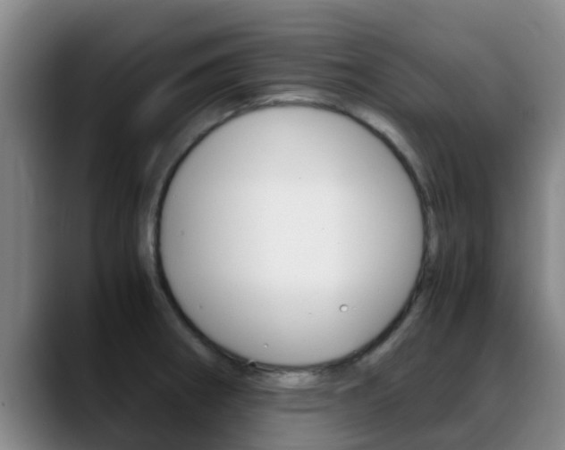 X0000089431282200706151015