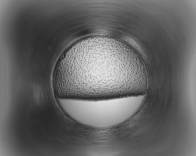 X0000089431283200706151015