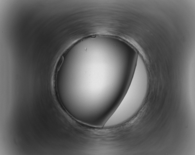 X0000089431285200706151015