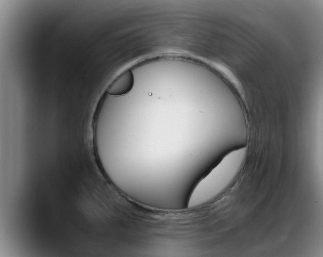 X0000089431287200706151015