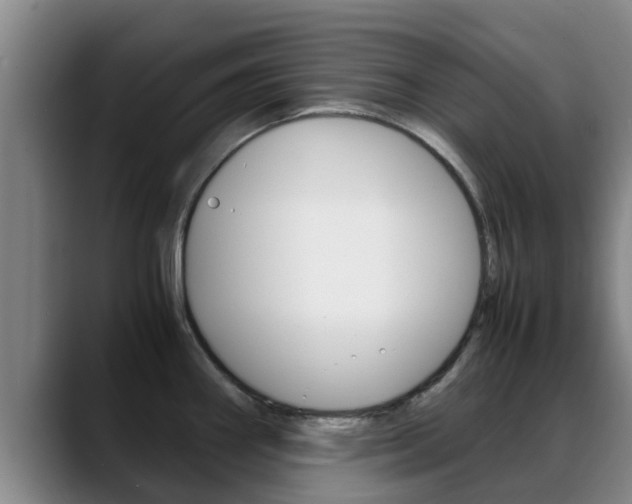 X0000089431290200706151015