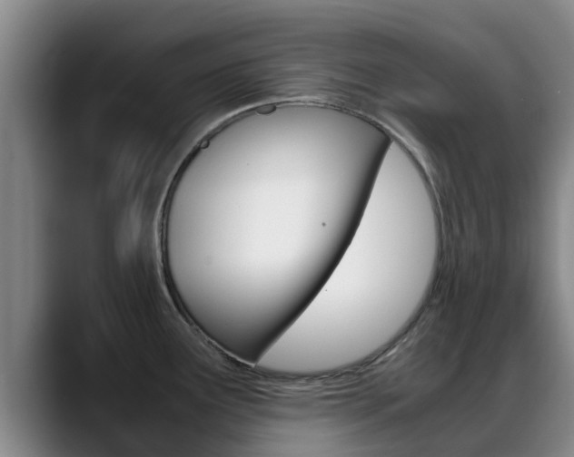 X0000089431291200706151015