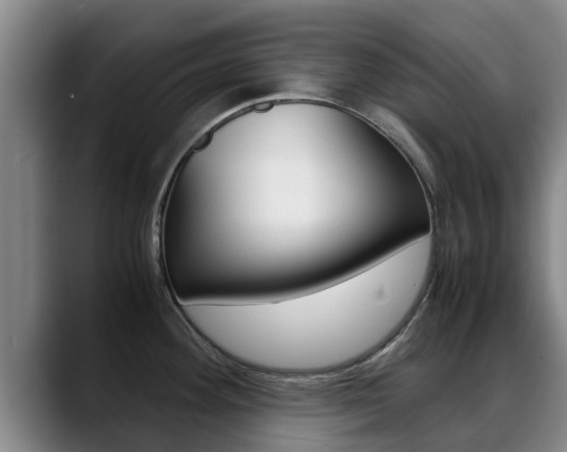 X0000089431292200706151015