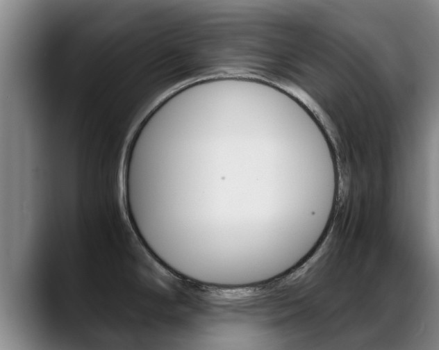 X0000089431294200706151015