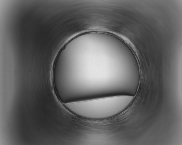 X0000089431295200706151015