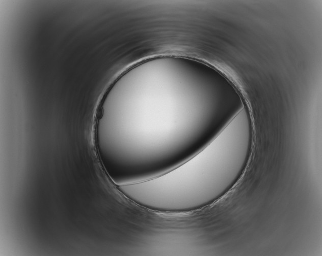 X0000089431296200706151015