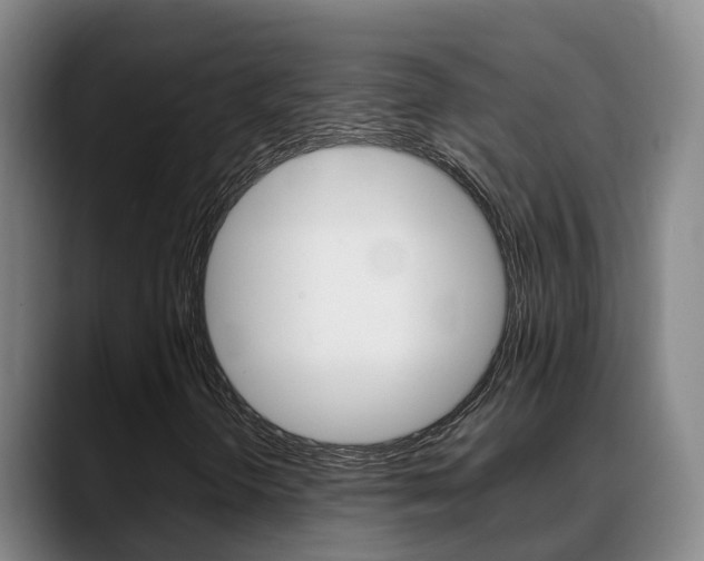 X0000089431298200706151014