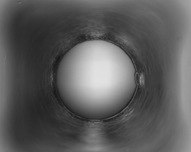 X0000089431299200706151014