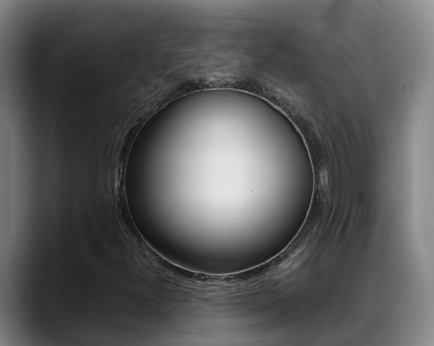 X0000089431300200706151014