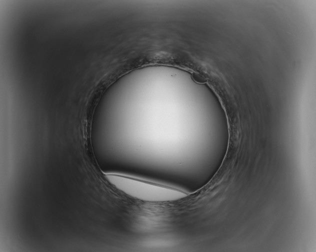 X0000089431301200706151014