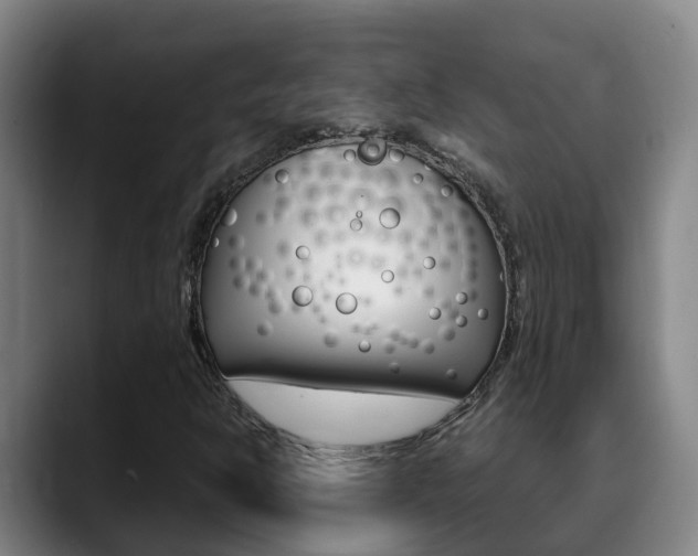 X0000089431302200706151014